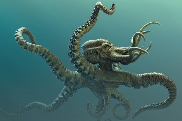 Kraken cc